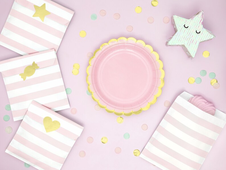 6 Light Pink Paper Plates Birthday Party Decor Baby Shower Tableware Princess Party Decor Engagement Party Birthday Party