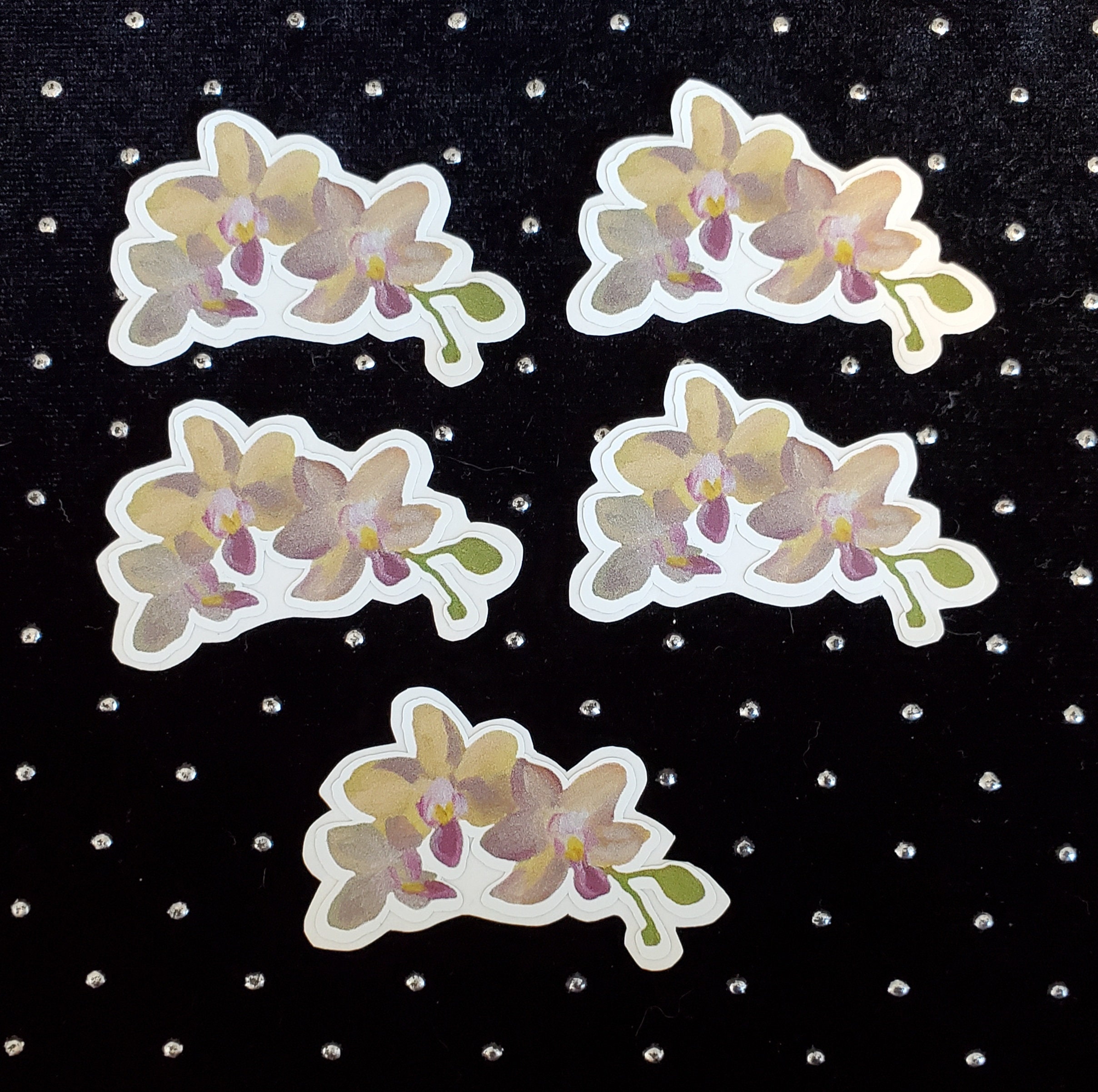 ORCHID PLANT vinyl sticker yellow mini phalaenopsis orchid Etsy