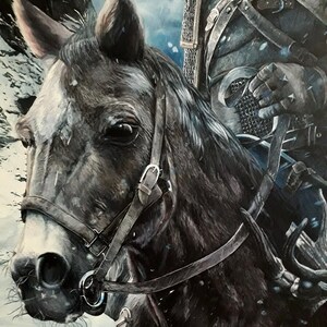 May include: A close-up of a dark grey horse with a leather bridle and a rider in the background. The horse has a white muzzle and a dark eye. The rider is wearing a dark blue tunic and chainmail armour.