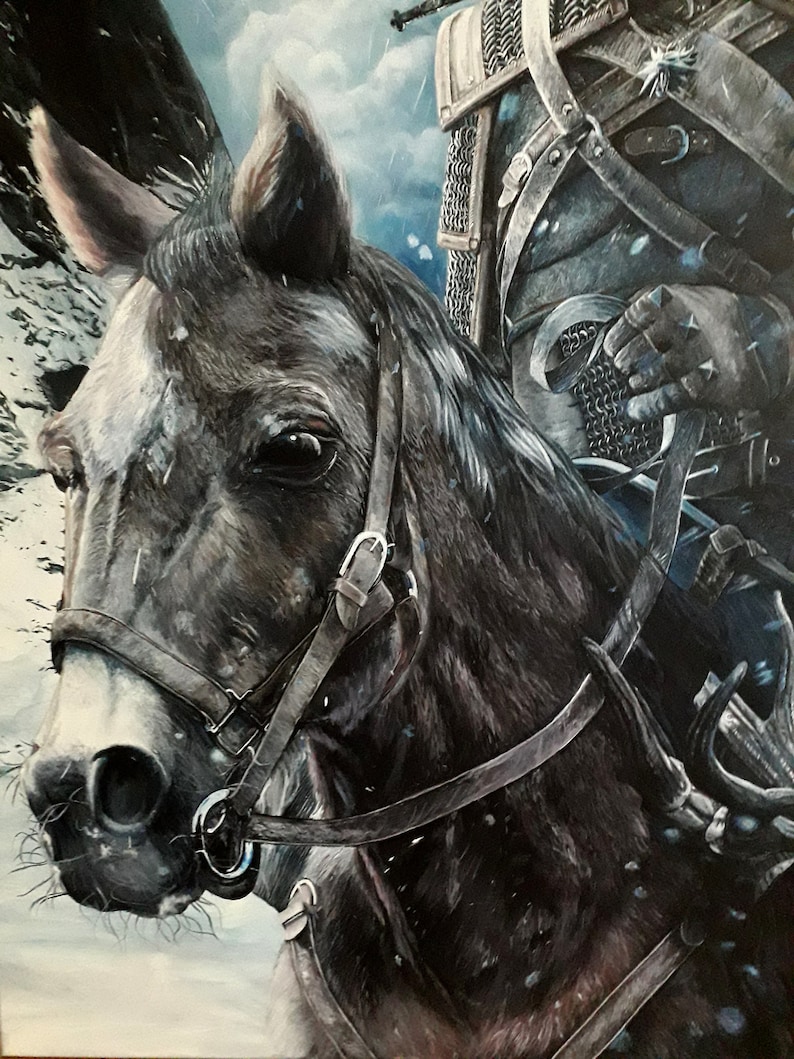 May include: A close-up of a dark grey horse with a leather bridle and a rider in the background. The horse has a white muzzle and a dark eye. The rider is wearing a dark blue tunic and chainmail armour.