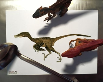 Velociraptor (A4)