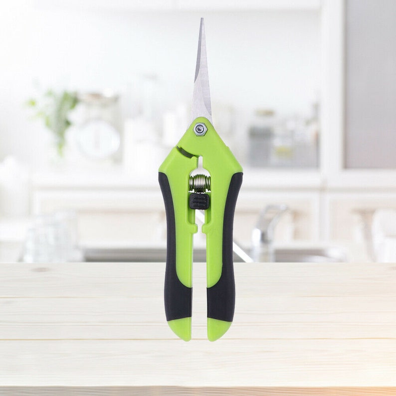 Curved Blade Plant Trimming Scissors Bonsai Garden Scissor Etsy