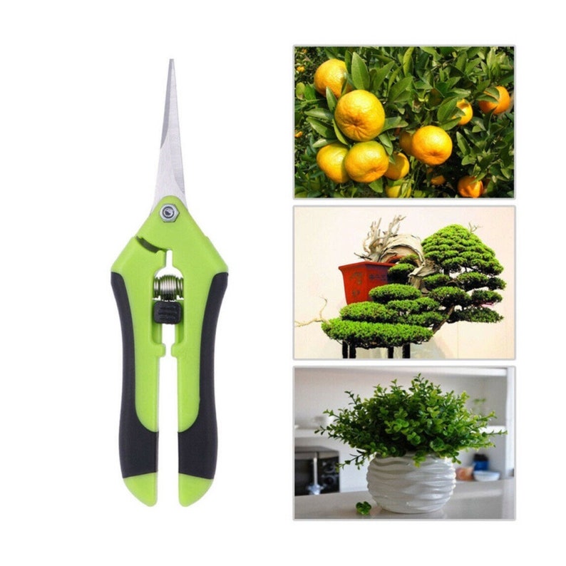 Curved Blade Plant Trimming Scissors Bonsai Garden Scissor Etsy