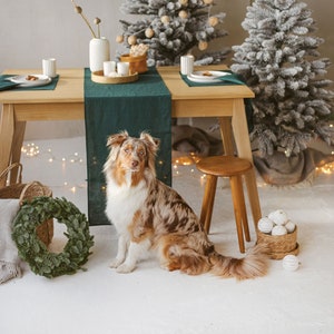Könnte beinhalten: Ein brauner und weißer Australian Shepherd sitzt vor einem Holztisch mit einer grünen Tischdecke. Der Tisch ist mit Tellern, Schalen und Kerzen gedeckt. Im Hintergrund stehen zwei kleine, beflockte Weihnachtsbäume, einer mit weißen und der andere mit braunen Ornamenten.