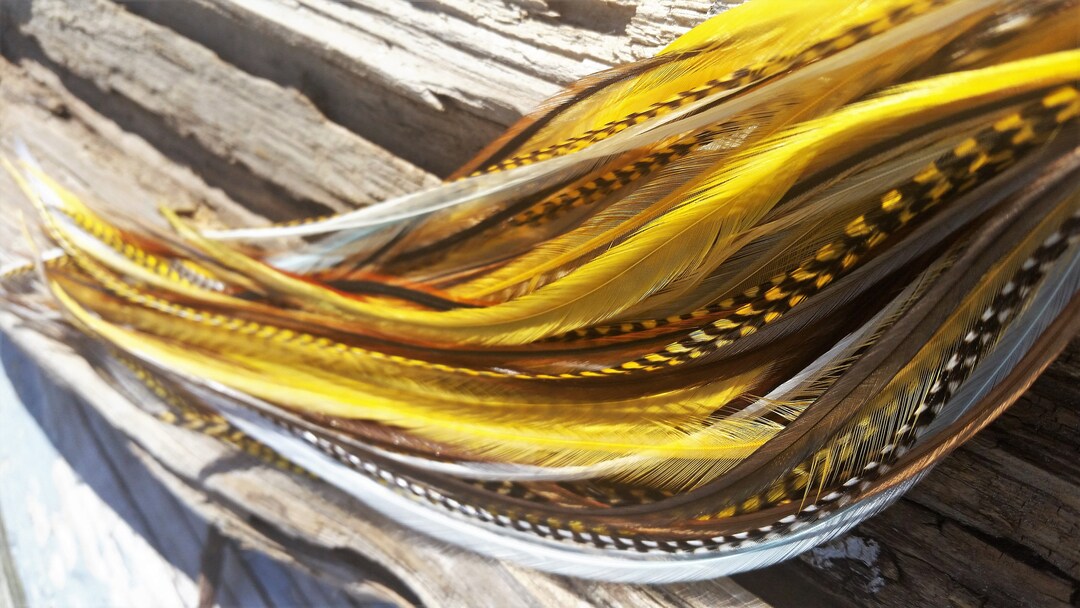 100% Rooster Feathers/feather Hair Extention Kits - Etsy