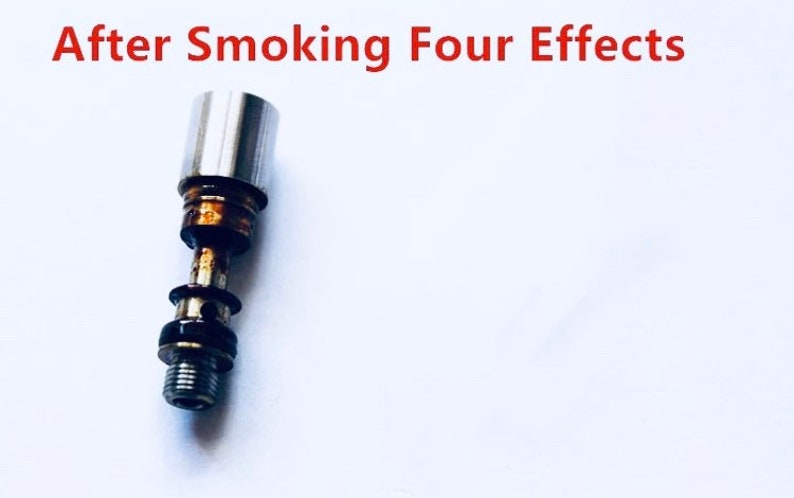 Titanium CIG Holder Cleanable Filter 1x Piece