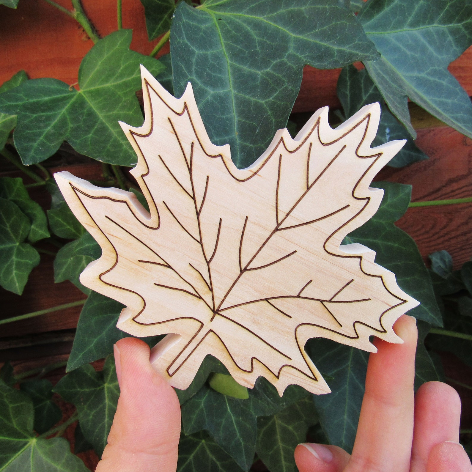 Wooden Leaves toys Wooden botanic toy Wooden acorn Etsy