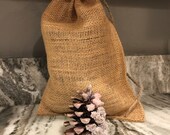 Pinecone fire starters scented