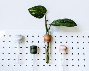 May include: Four glass test tubes with different coloured rubber stoppers are mounted on a white pegboard. The test tubes are filled with water and a plant is growing in one of the tubes.