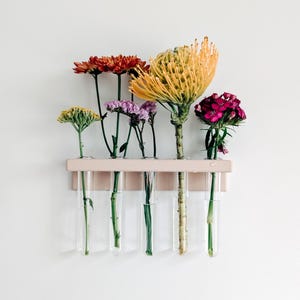 Wall Shelf Propagation Vases, Plant and Flower Vases, Wall Planter, Propagation Station, Home Decor, Wall Decor | Poethan