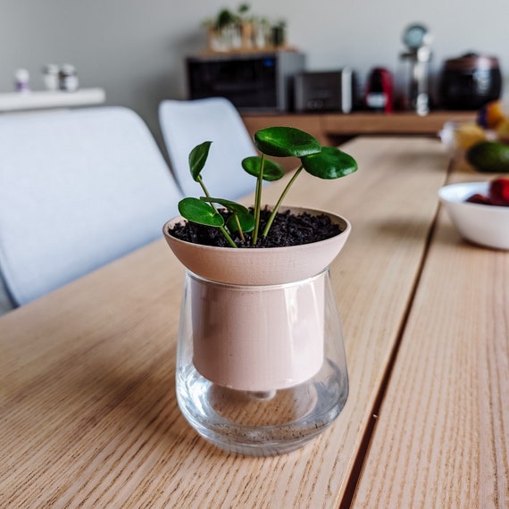 Self-watering Planter, Plant Pot, Indoor Planter, Minimalist Design, Light  Weight, Propagation Planter | Poethan - Etsy Israel