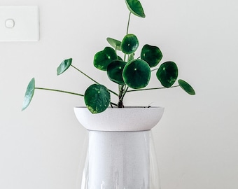 Large Self-Watering Planter, Plant Pot, Indoor Planter, Minimalist design, Light weight, Propagation Planter | Poethan