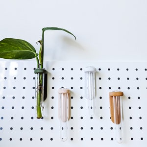 FRIDGE MAGNET Minimalist Propagation Vases, Magnetic, Plant and Flower Vases, Wall Planter, Propagation Station, Home Decor | Poethan