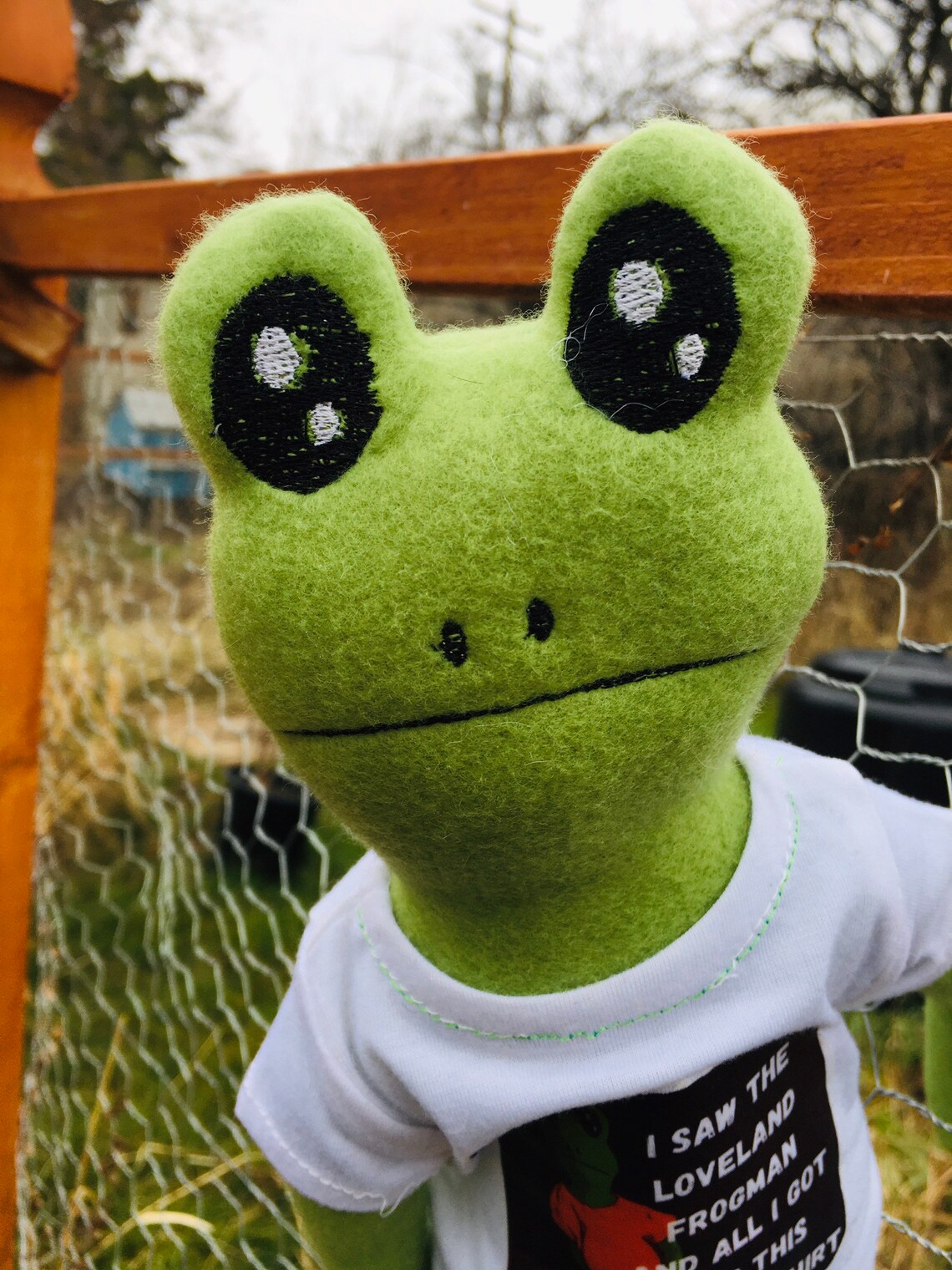 Loveland Frogman cryptid plush | Etsy