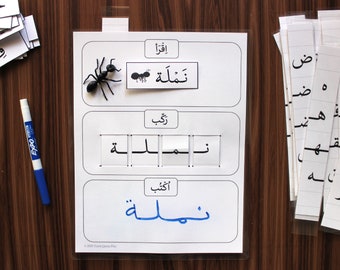 L2 Read- Build- Write Activity Sheet- Arabic Letter Forms- Muslim- DIGITAL PDF