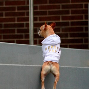 Dog Sweater | Wonderpup Print | 100% Cotton Ultra Soft