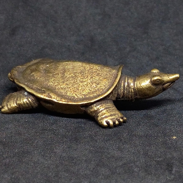 Turtle Softshell Brass Figurine