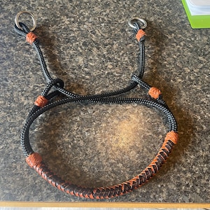 May include: Black and orange horse halter with silver metal rings. The halter features a black rope with orange accents and a braided leather noseband. This equestrian equipment is designed for controlling and leading horses.