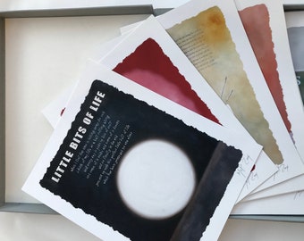 Caja de portafolio de edición limitada que contiene 18 impresiones Giclée, cada una firmada y numerada por el artista. Se presenta en un cuadro de visualización enlazado al lienzo.