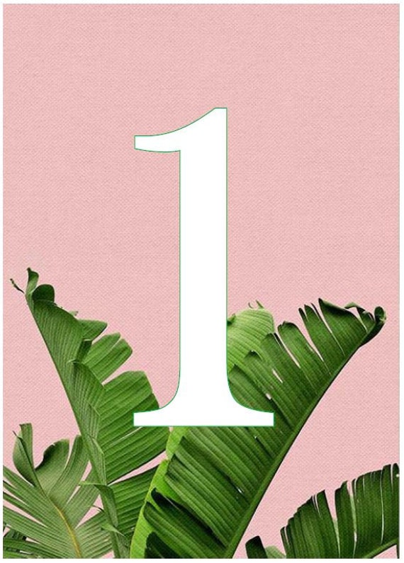 Tropical Themed Wedding Table Numbers 1-10 5x7