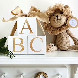 May include: Wooden blocks with the letters A, B, and C painted on them. The blocks are stacked on top of each other. A crocheted lion toy is sitting next to the blocks. The blocks are tied together with a brown ribbon.