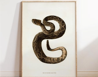 Vintage Snake Print: Reptile Wall Art Poster (Digital Download)