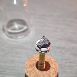 Könnte beinhalten: Ein kleines, dunkles, unregelmäßig geformtes Gesteinsexemplar auf einem goldfarbenen Ständer mit Korkbasis. Eine klare Glasampulle befindet sich im Hintergrund. Der Stein hat einen metallischen Glanz, und der Ständer steht auf einer hellgrauen Oberfläche.