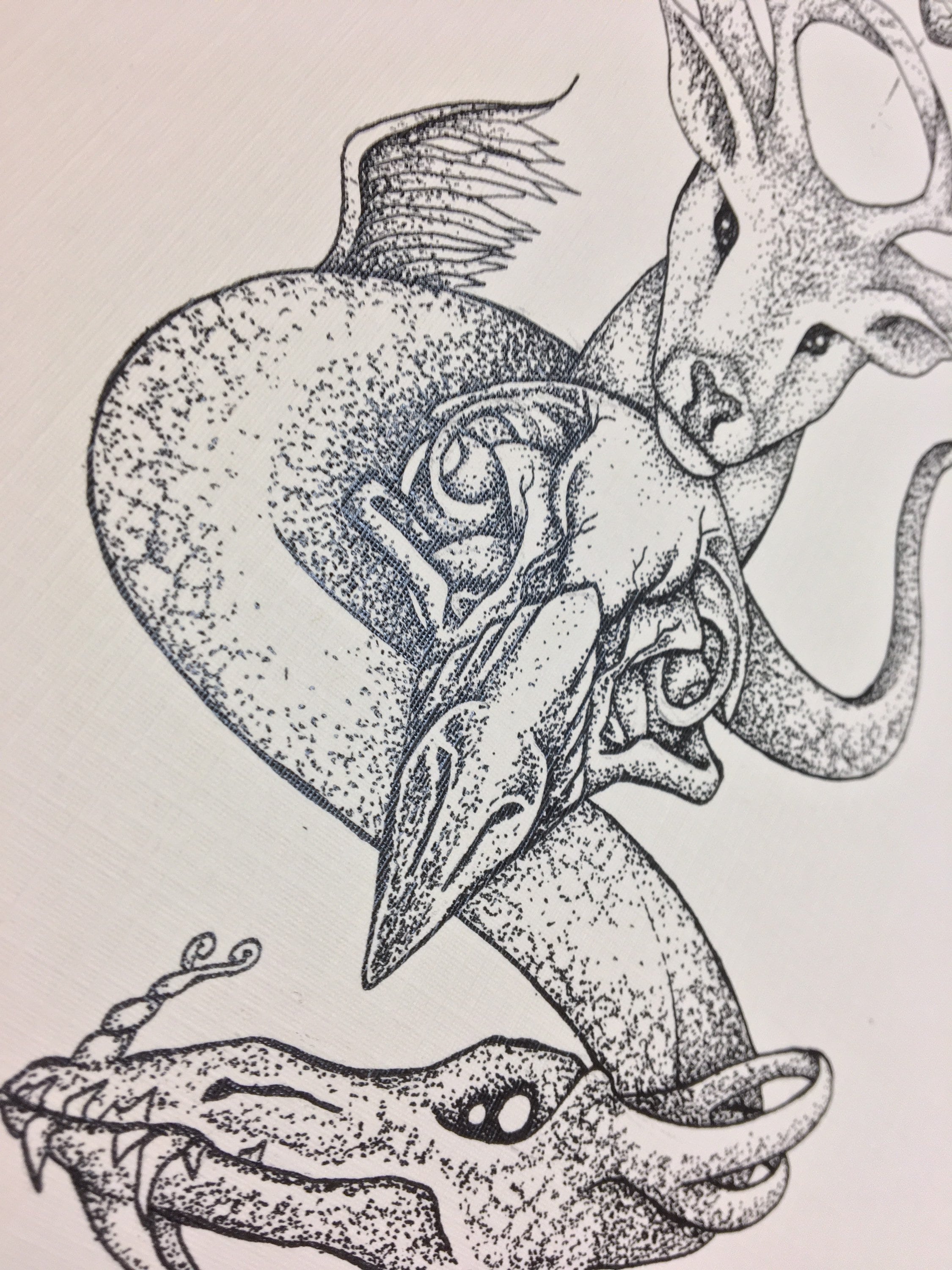 How Do Amplifiers Work In Shadow And Bone at Tina Brock blog