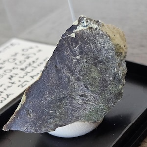 May include: A dark gray rock sample with a textured surface, displayed in a black case. The rock has areas of lighter tan and green hues. The sample is resting on a white base. The image is taken in natural light.