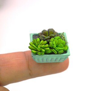 Dollhouse Miniature Plants Succulents, Mini Garden Fairy Dollhouse Decoration