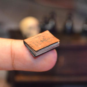 May include: A tiny book with a brown cover and white pages is held on a finger. The cover features a design and text. The book is small, possibly for a dollhouse or miniature collection.