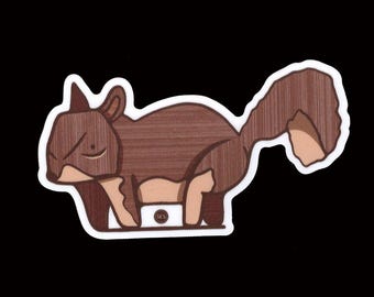 Grey Squirrel, vinyl stickers, die-cut sticker, illustration,  sticker art