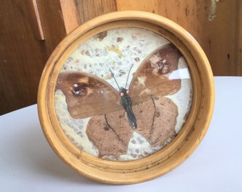 Bamboo Coaster with Real Butterfly (Moth?) Wings
