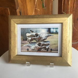 Marco de fotos vintage mexicano de roble pintado en dorado de 5&quot; x 7&quot; con tarjeta fotográfica de Juan&#39;s Photography en el interior