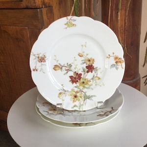 Haviland Schleiger #1154G Old Blackberry Scalloped 8.5&quot; Luncheon Plate ~ Limoges, France