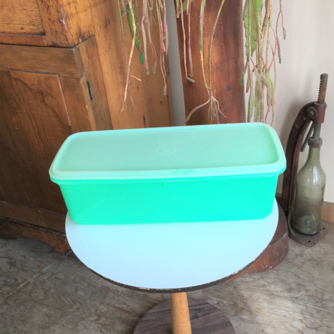 Vintage Tupperware 7828 Celery / Vegetable Keeper 3pc Set With Clear