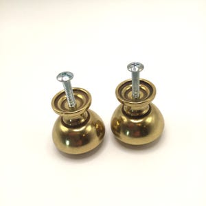 May include: Two round brass cabinet knobs with a smooth, polished finish. Each knob features a central, silver-colored metal screw protruding from the top, designed for attachment to furniture or cabinetry doors and drawers.