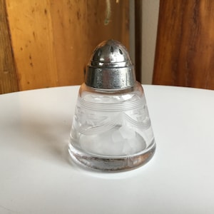 Etched Glass Salt Shaker