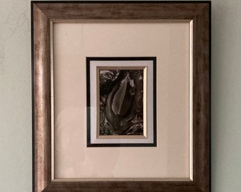 Encaustic Artwork Framed Original Picture " Seed "