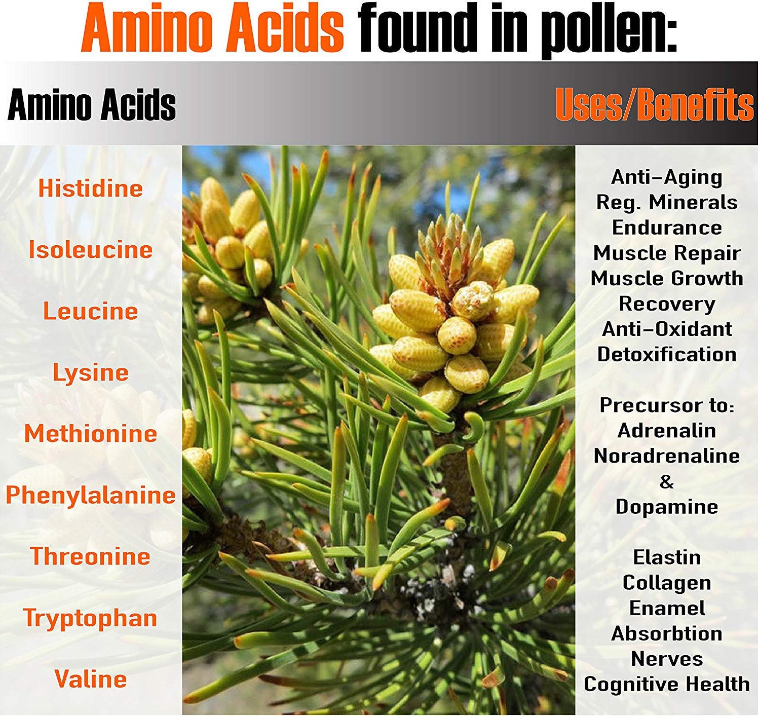 Pine Pollen Power