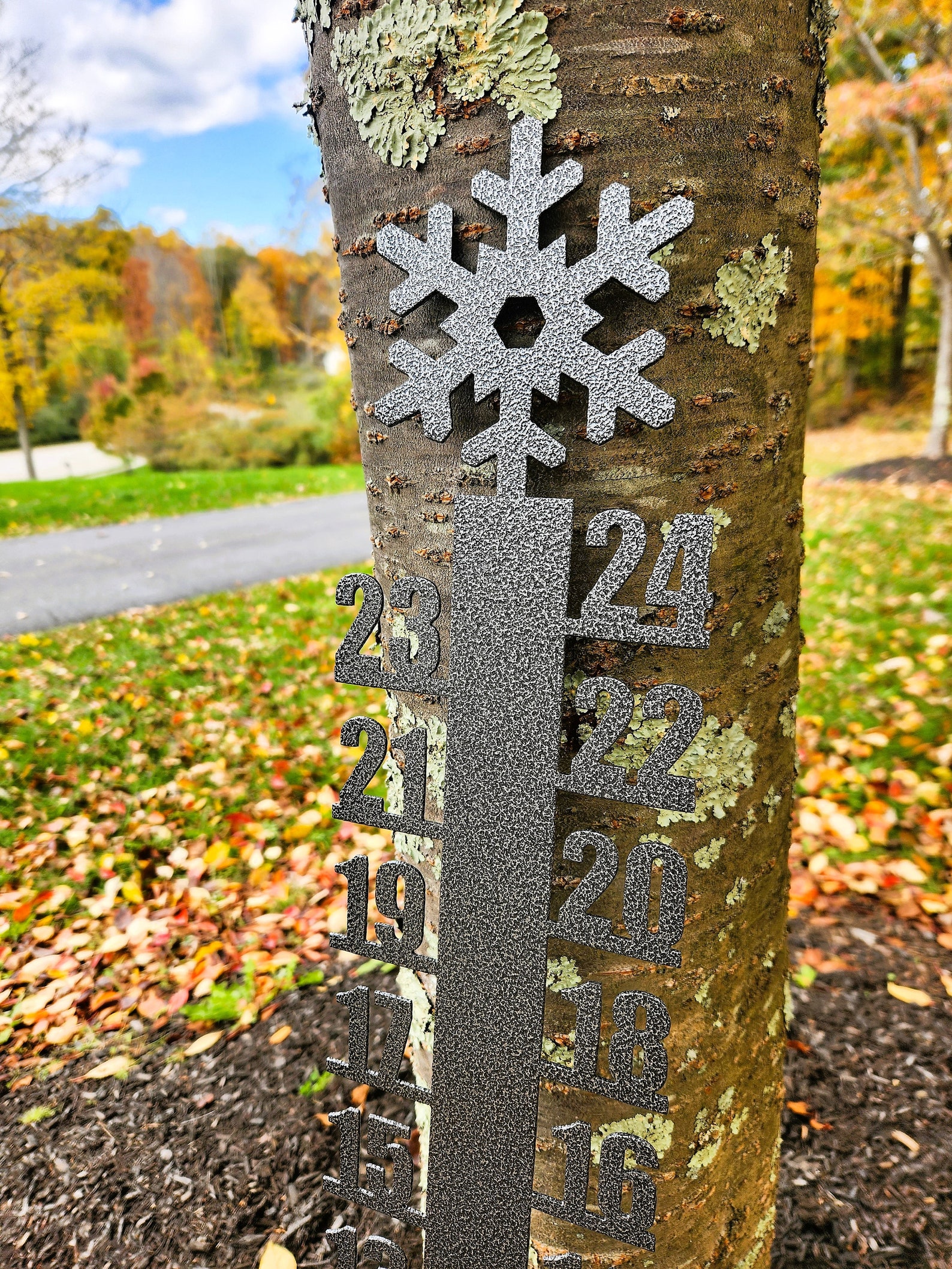 Snowflake Metal Snow Ruler/snow Gauge Snow Tracker Snow - Etsy