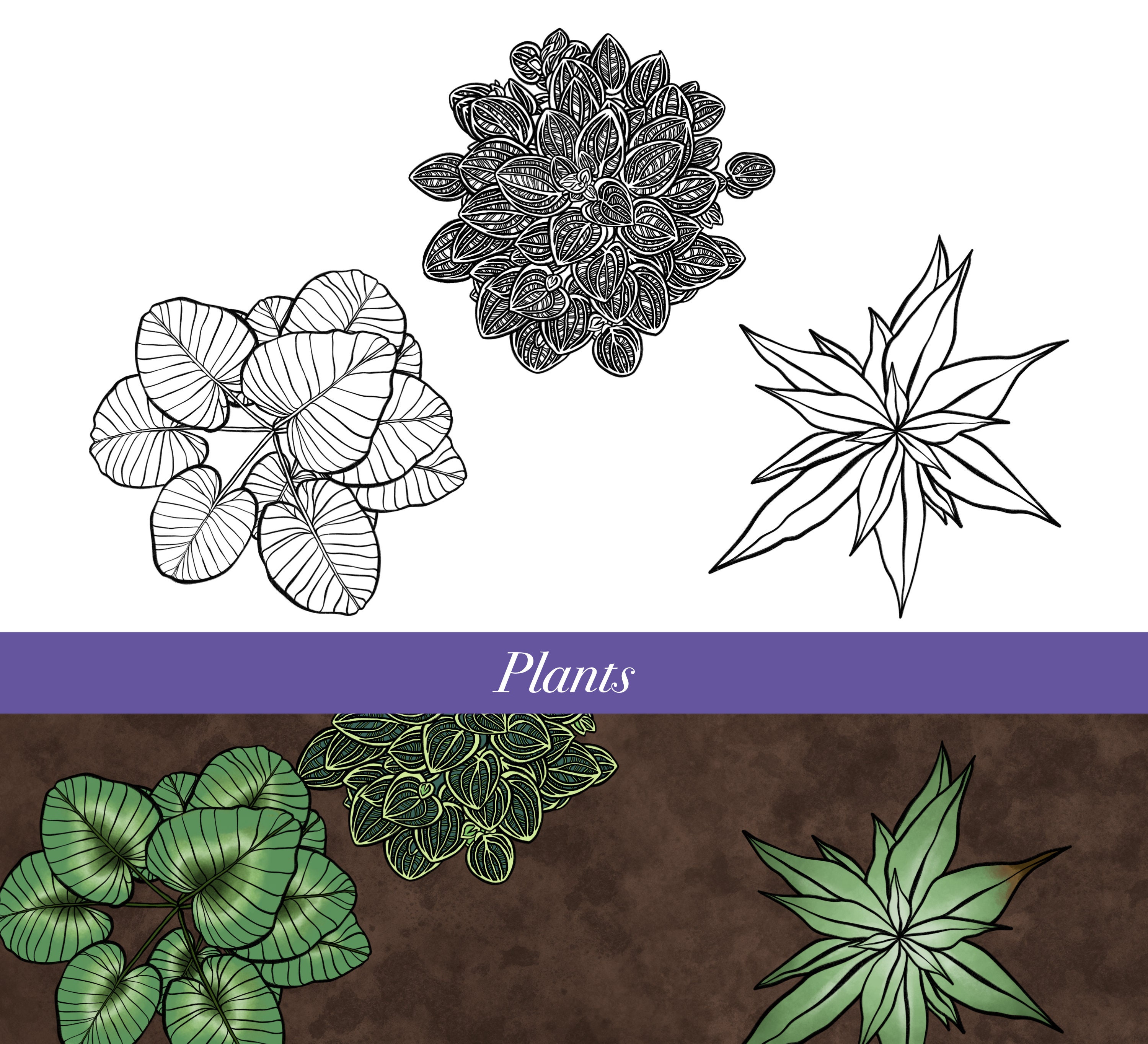 Battlemap Foliage Brushes for Procreate - Etsy