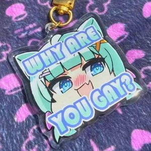 May include: A clear acrylic keychain featuring an anime-style character with blue eyes and green hair. The keychain has the text "WHY ARE YOU GAY?" in blue and white. It is attached to a gold-coloured clasp.