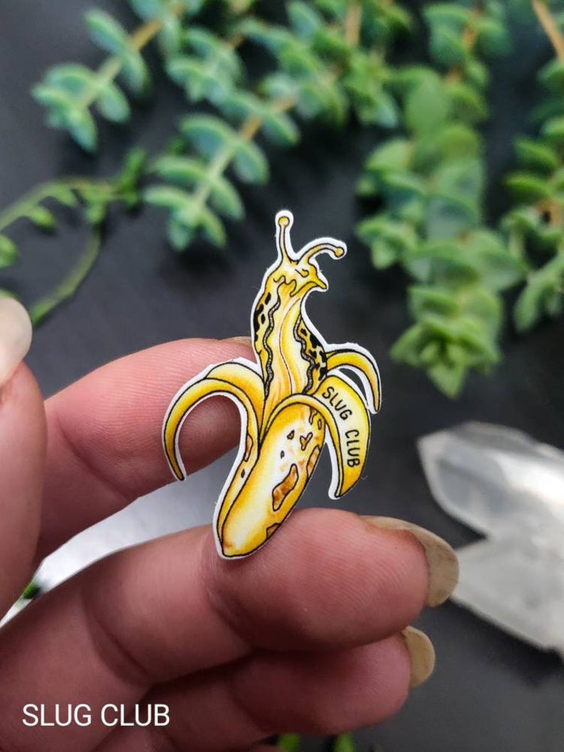 Vinyl Sticker Art Banana Slug Nature Forest PNW Outdoor Watercolor Slug Club