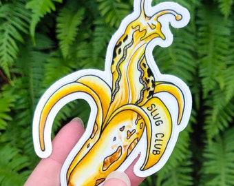 Slug Club - Art autocollant vinyle - limace banane Nature forêt PNW aquarelle extérieure