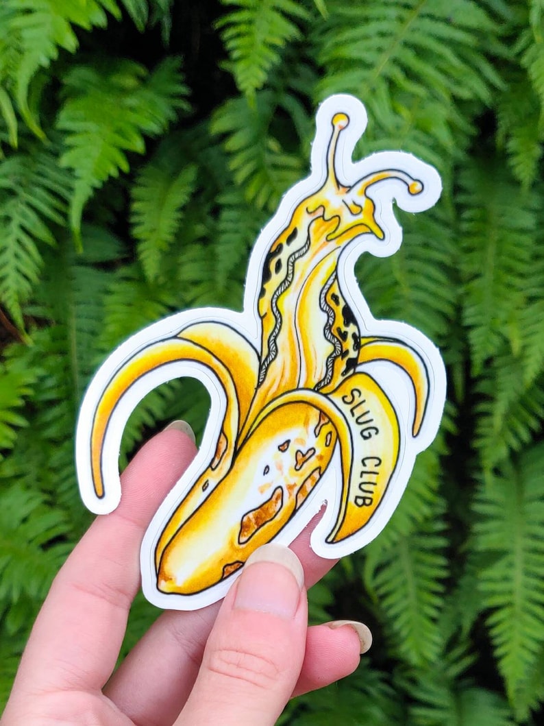 May include: A die-cut sticker featuring a yellow banana peel with a slug inside. The slug has a yellow and black pattern. The banana peel has the words "SLUG CLUB" printed on it. The sticker is held in front of a green leafy background.