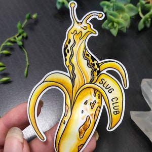 May include: A whimsical sticker featuring a yellow slug with black spots emerging from a peeled banana. The banana peel has the text "SLUG CLUB" in black. The sticker is outlined in white.