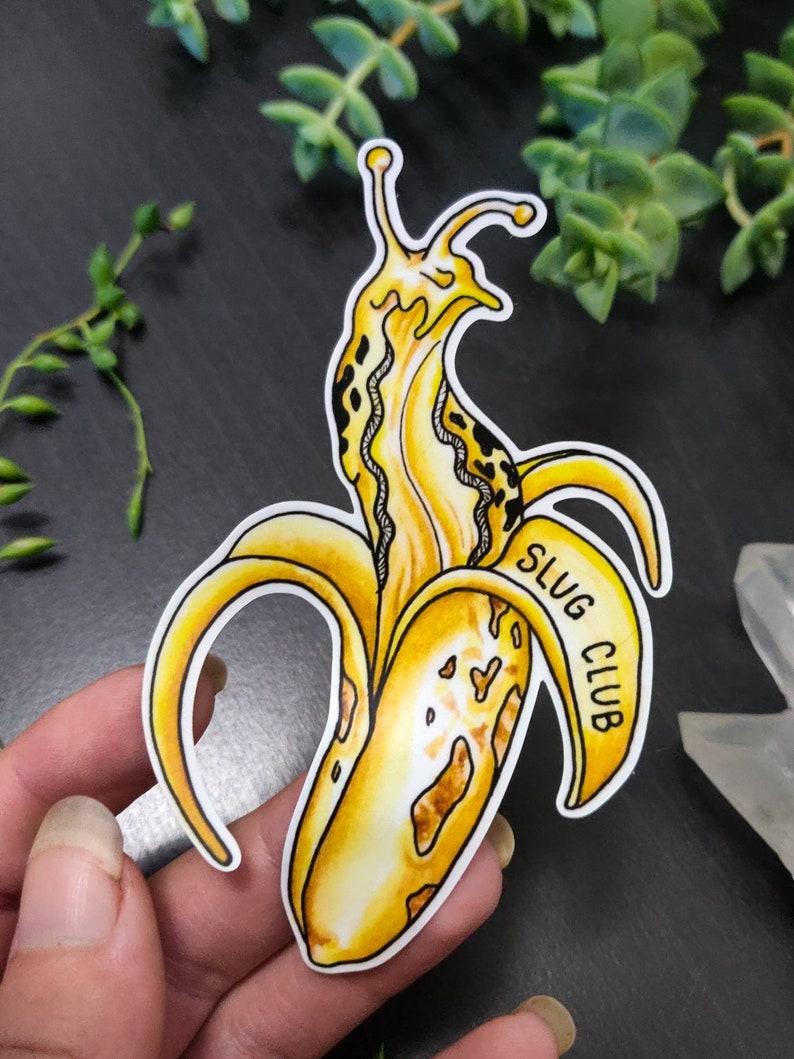 Vinyl Sticker Art Banana Slug Nature Forest PNW Outdoor Watercolor Slug Club