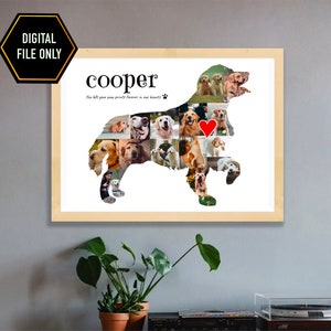 Golden Retriever dog photo collage gift, personalised dog loss gift, dog lovers gift, Labrador wall art, dog sympathy gift, Valentines Day