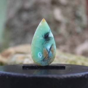 Blue opal wood cabochon